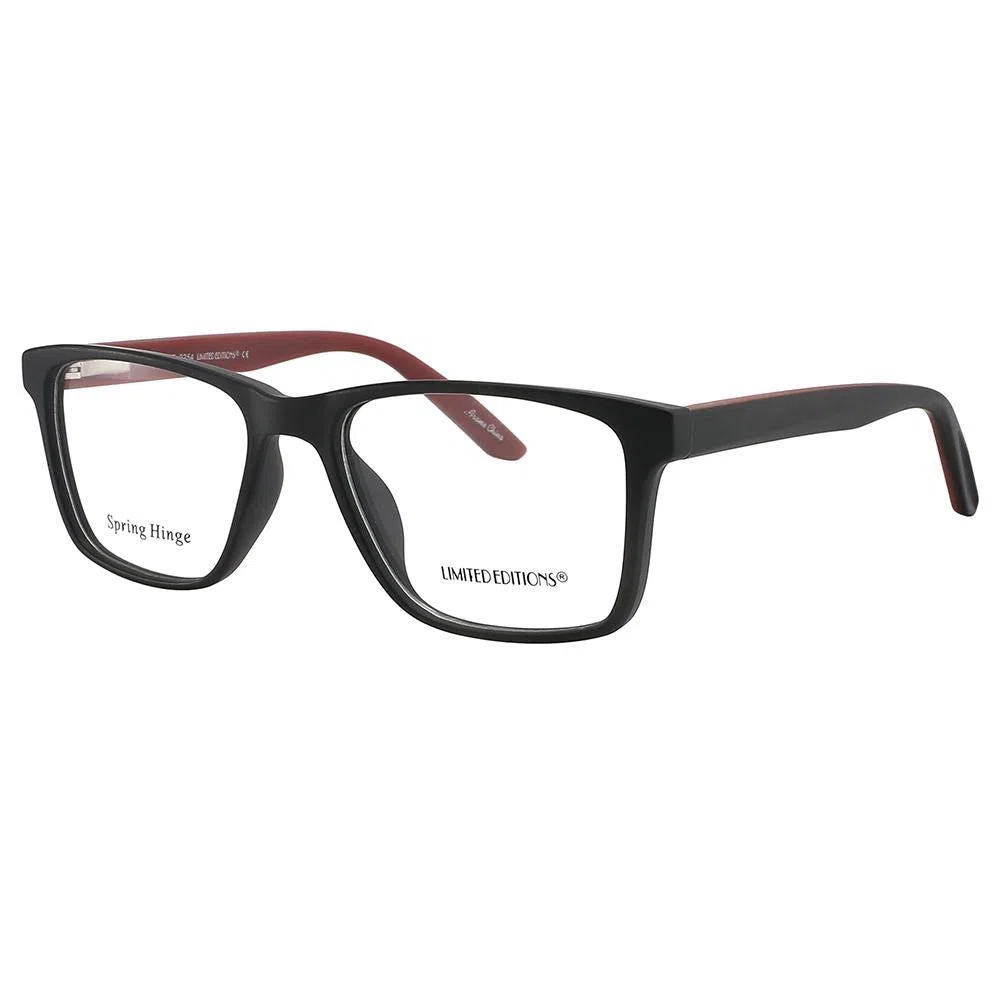 LIMITED EDITIONS 2254 Eyeglasses - view 8